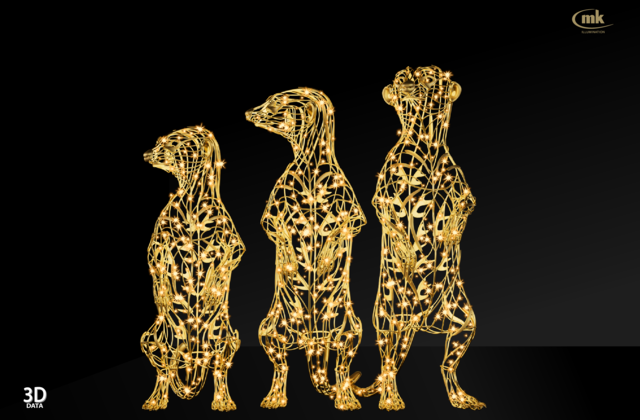 Meerkat Family