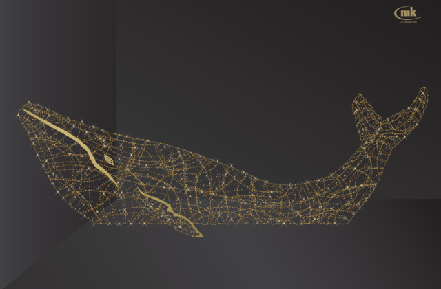Whale 15m