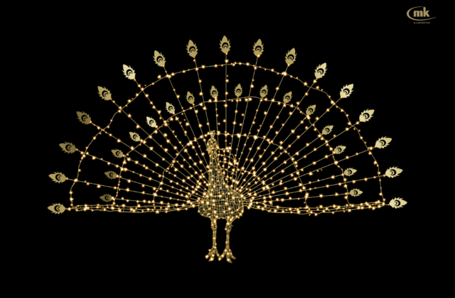 Peacock small