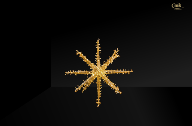 Bellatrix (Slim) Star