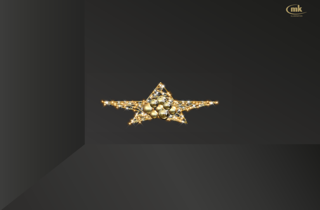 Low Ceiling Elza Star
