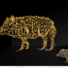 Wild Boar