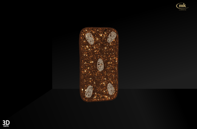 Ginger bread