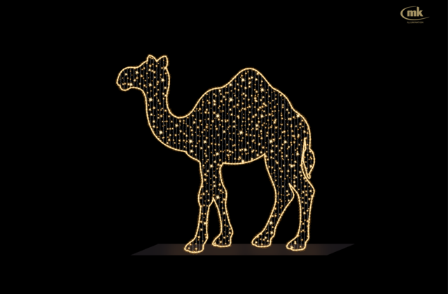 Camel
