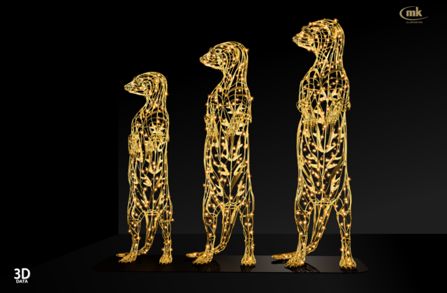 Meerkat Family