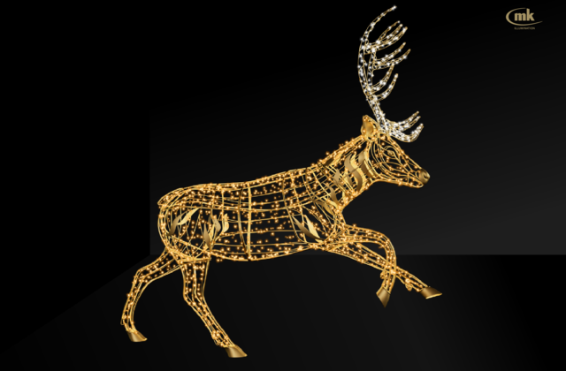Reindeer