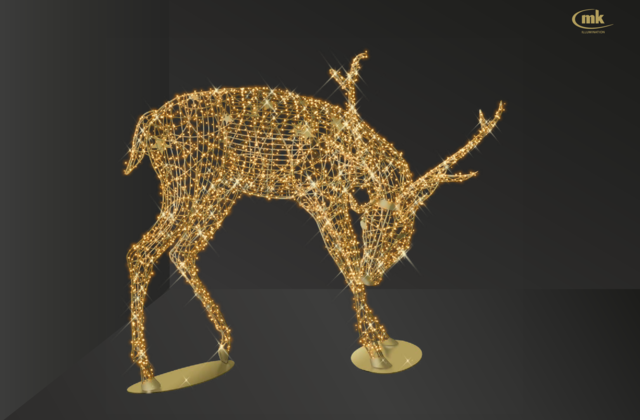Stag Head-Down