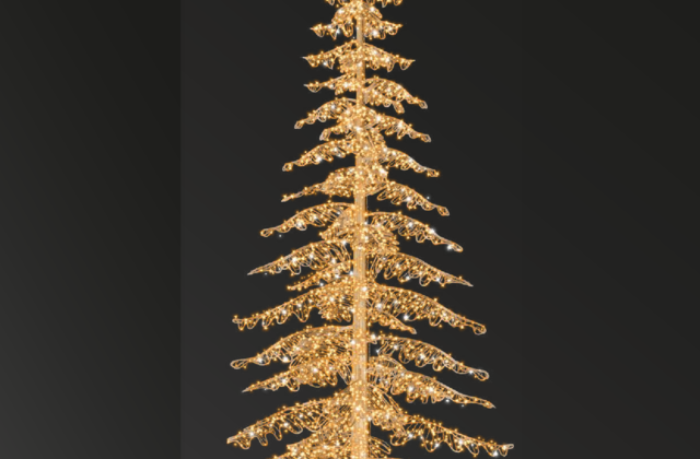 Fir Tree
