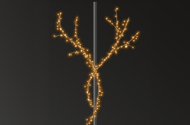 Frosty Branch