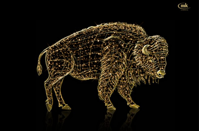 Bison Male