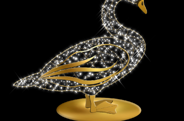 Swan In Love V2