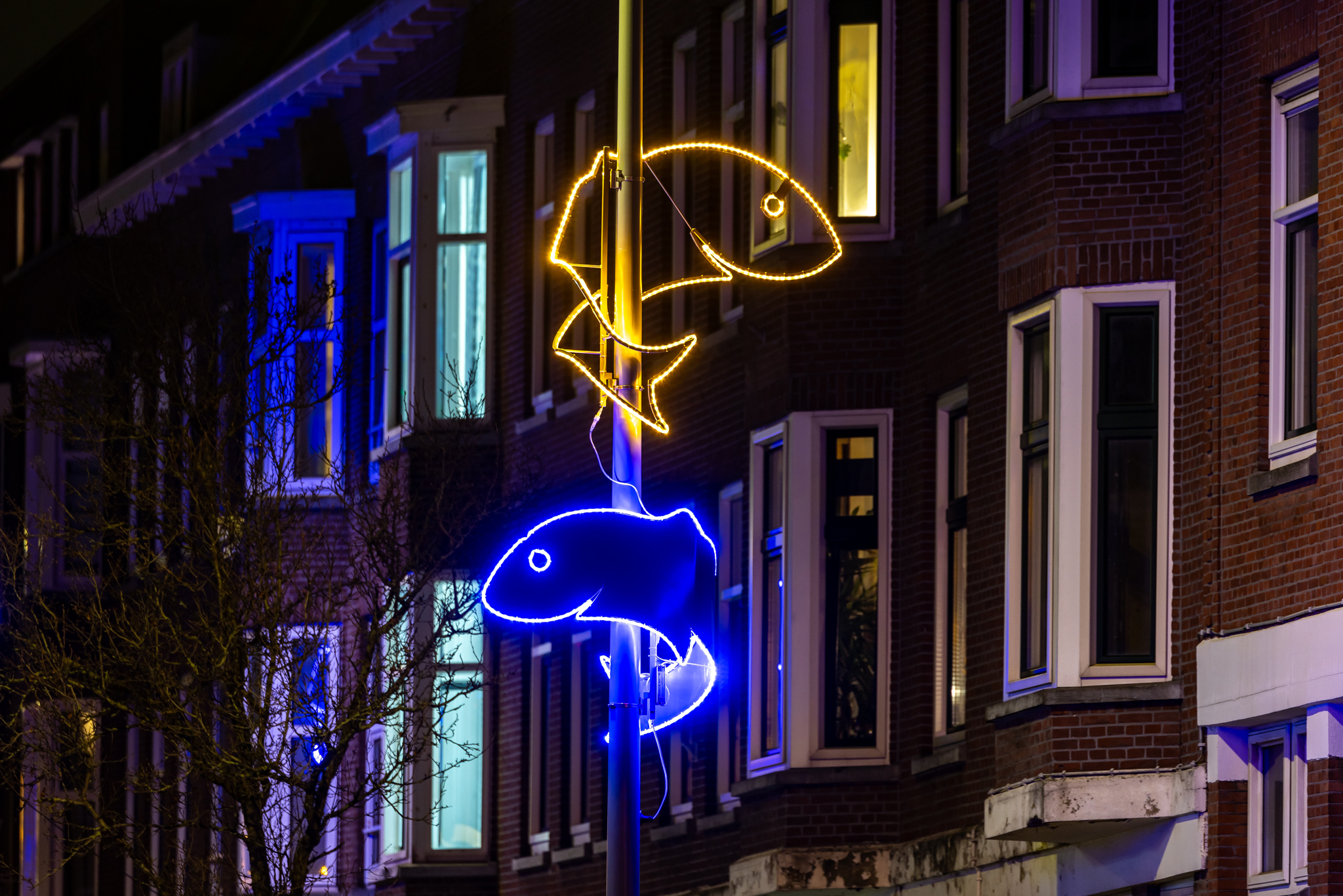 Lichtinstallation in der Visserijstraat Rotterdam – MK Illumination Holland, inspiriert vom Straßennamen, für Sicherheit und Atmosphäre