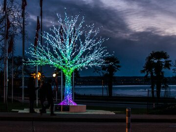 Lighting | MK Illumination