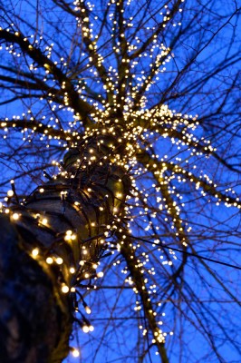 Sparkling Light | LED String Lights | LED Drape Lights | MK Illumination | Festive Lighting | Year-round Outdoor Lighting