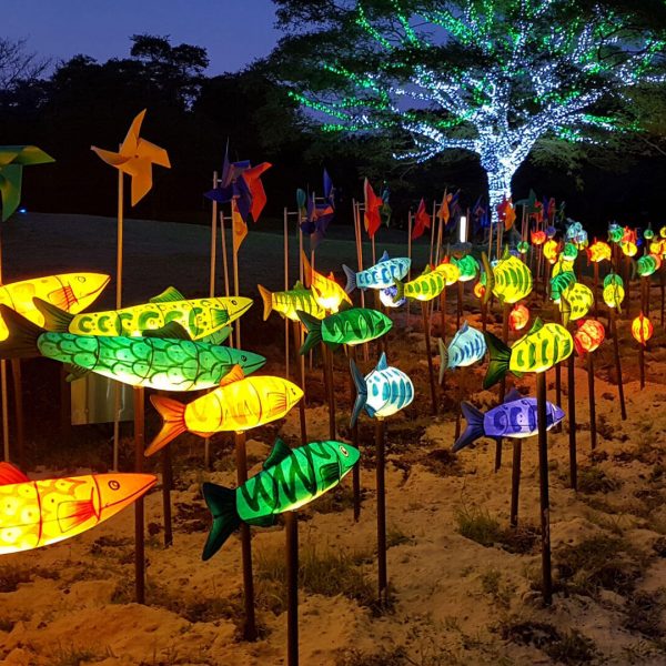 Fiberglass sculptures of a school of multi-colored fish glittering with light at Jeju Art Park in the city of Jeju, South Korea.