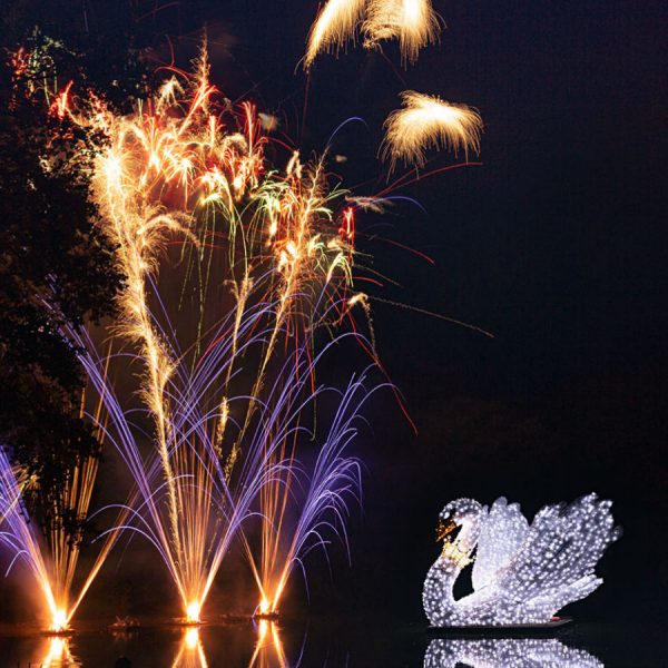 Light sculpture of a magical royal swan in front of fireworks in a lake at the zoo in the city of Neumünster, Germany.