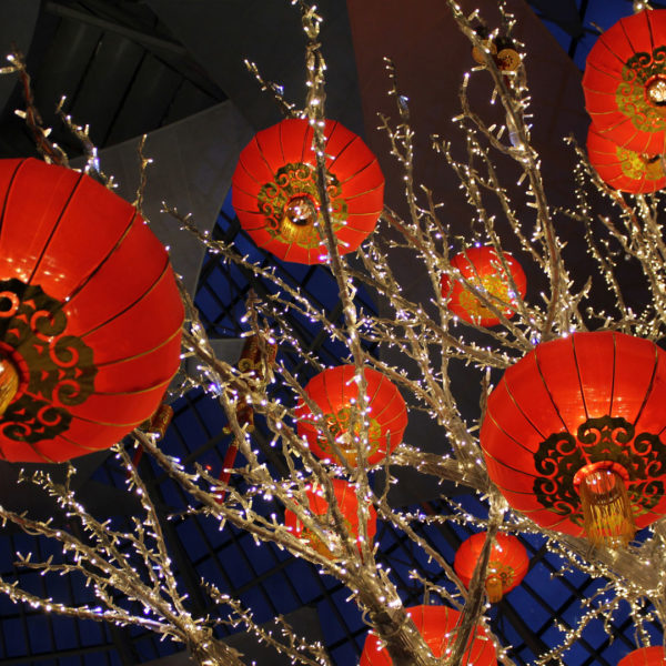 Close up view of traditional chinese lantern hanging in a tree with string lite decoration at the lobby of the hotel Crown Metropol in the city of Perth, Australia.