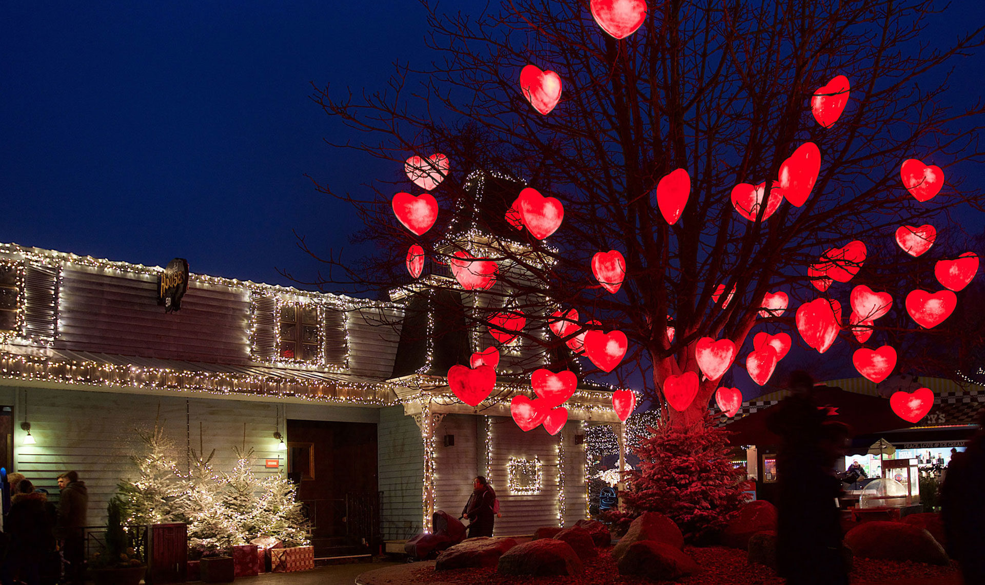Turn Valentine's Day into a sparkling, love-filled attraction this year |  MK Illumination