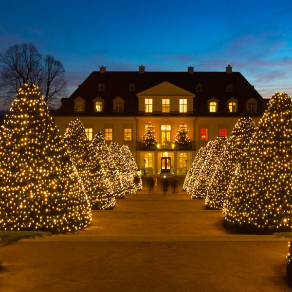 Trees with string lite paving the way to the winery Schloss Wackerbarth in Radebeul, Germany.