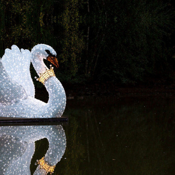 Light sculpture of a magical royal swan in a lake at the zoo in the city of Neumünster, Germany.