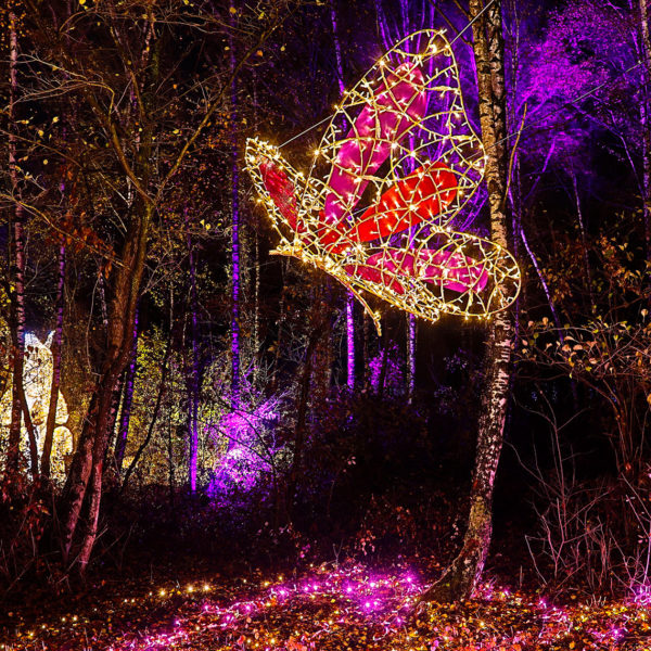 Light sculpture of a butterfly for the Haldenzauber light park in the city of Hückelhoven, Germany.