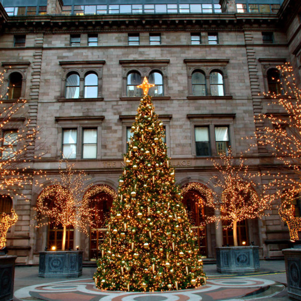 Christmas tree, decoration, light, leisure, hotel