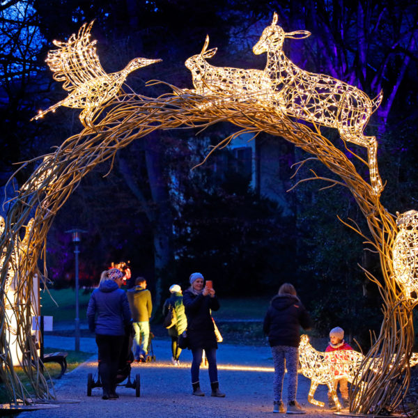 How light art electrifies public spaces – over Christmas and throughout the year